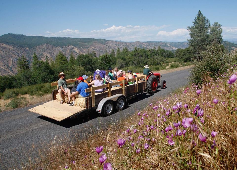 Camp Tuolumne Trails - Tuolumne Trails