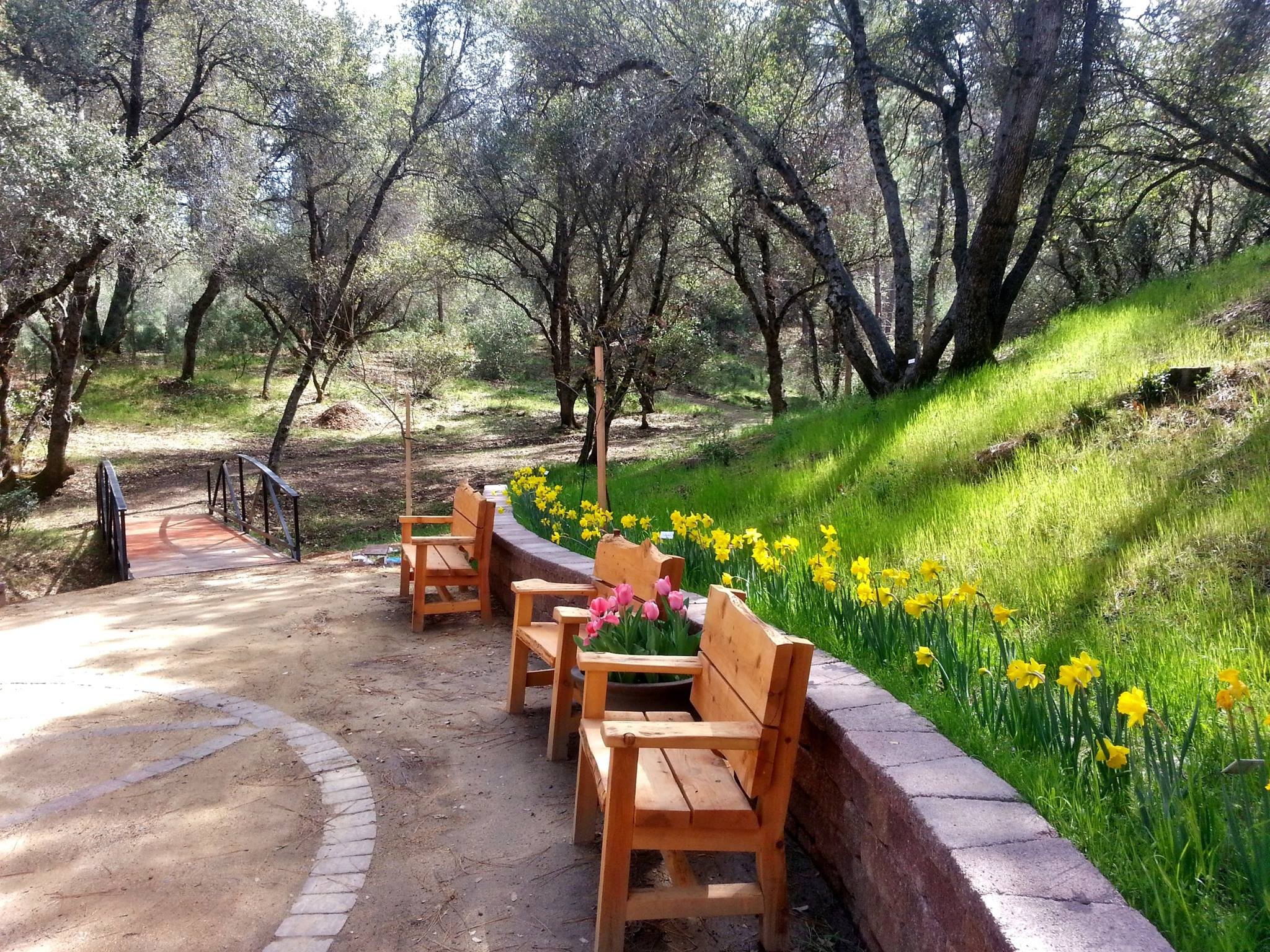 Camp Tuolumne Trails - Tuolumne Trails